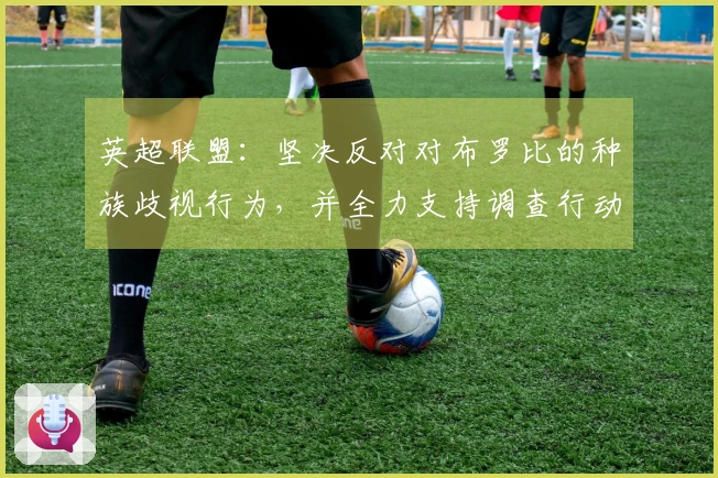 英超联盟：坚决反对对布罗比的种族歧视行为，并全力支持调查行动