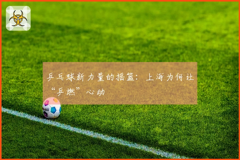 乒乓球新力量的摇篮：上海为何让“乒燃”心动