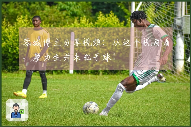蓉城博主分享视频：从这个视角看，廖力生并未犯手球！