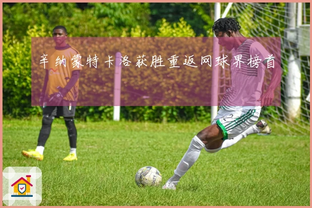 辛纳蒙特卡洛获胜重返网球界榜首