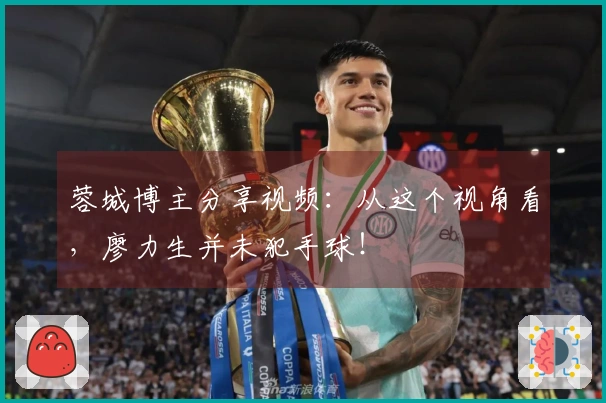 蓉城博主分享视频：从这个视角看，廖力生并未犯手球！